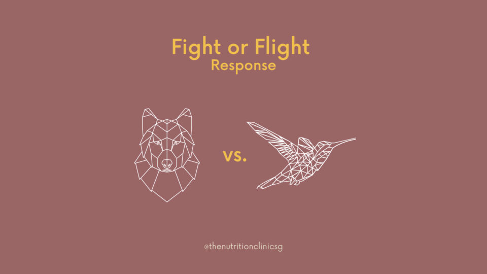 Flight Or Fight The Body S Nervous System